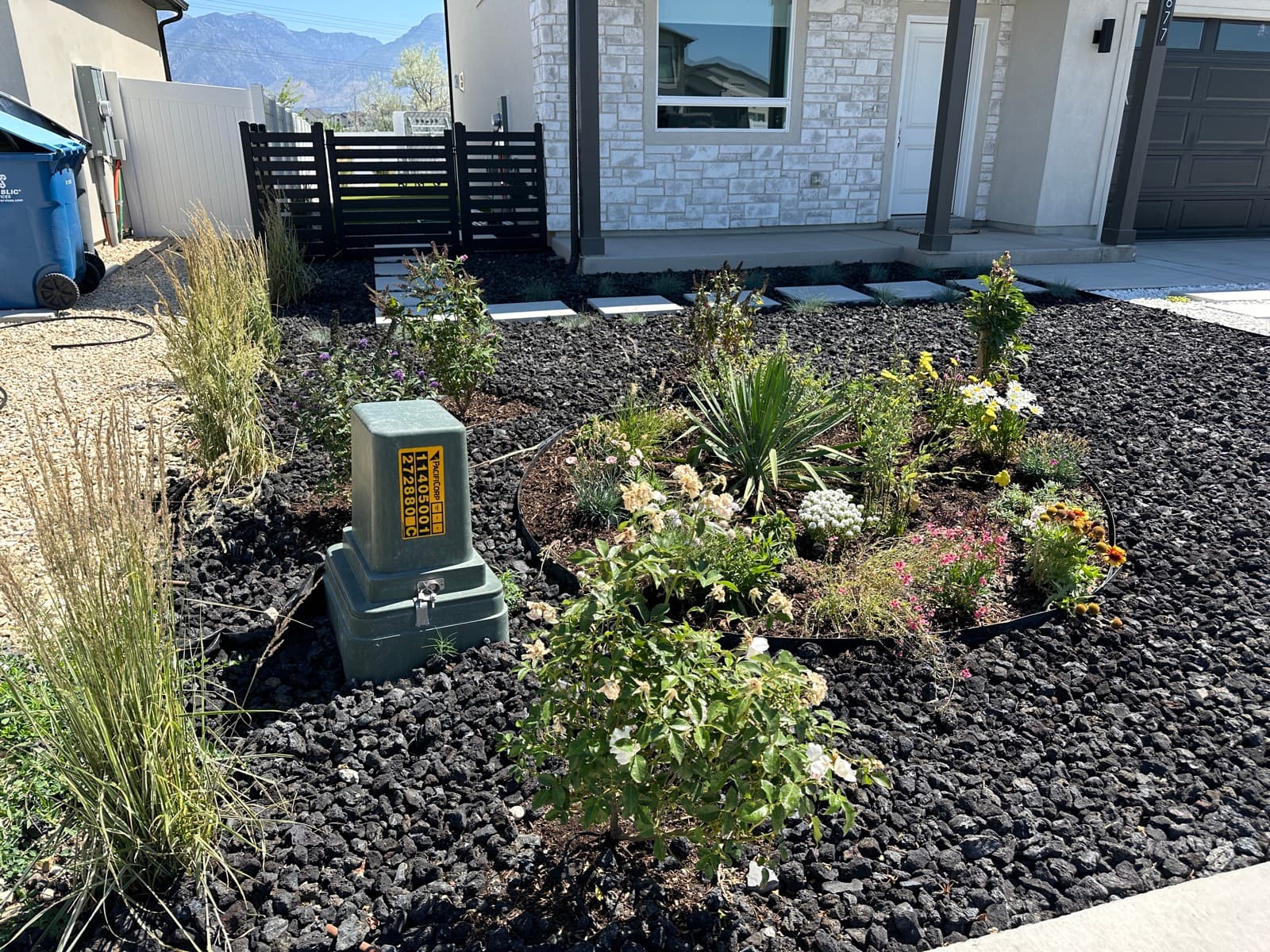 Front Yard Landscape Transformation — after
