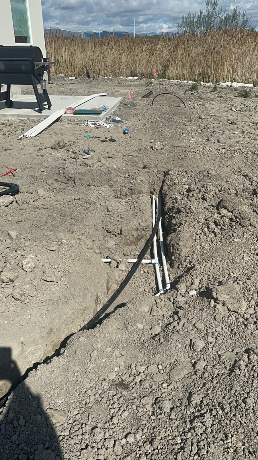 Front Yard Landscape Transformation — before